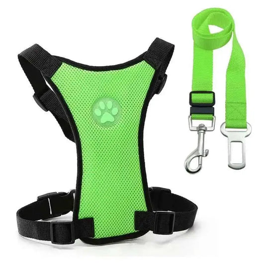 Green mesh pet harness with black straps and matching leash set, paw print detail